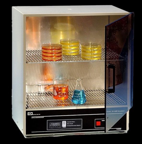 Gravity-Convection Incubator