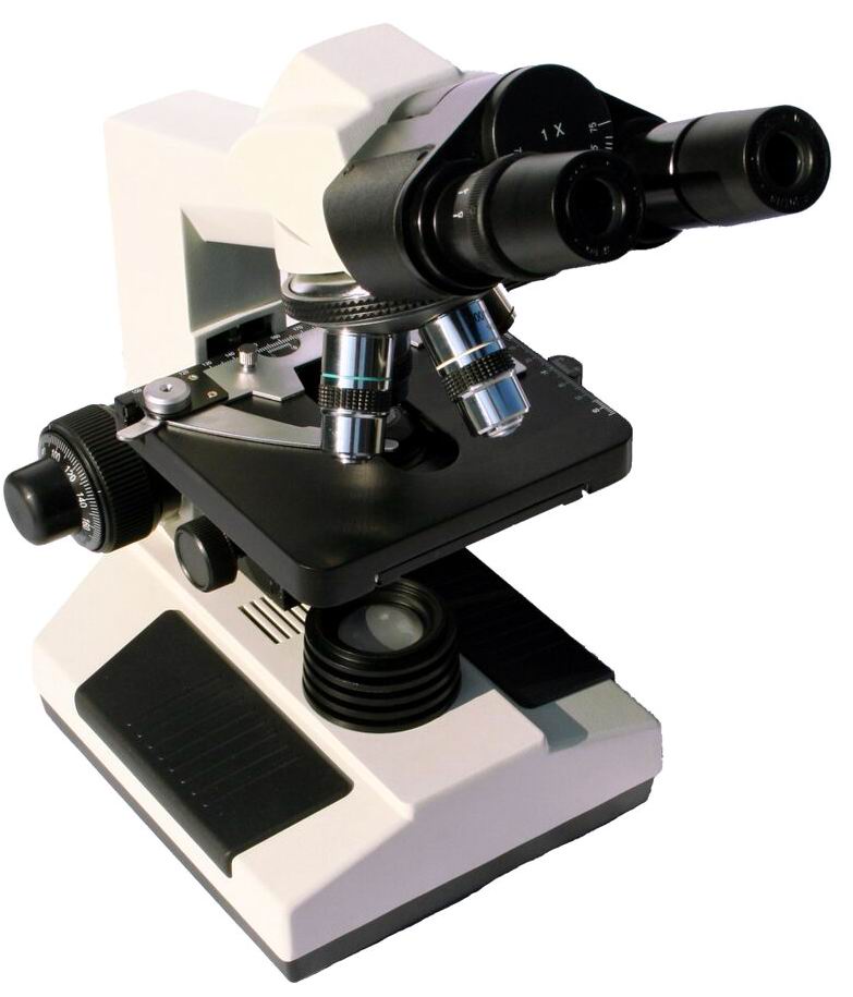 Binocular Microscope