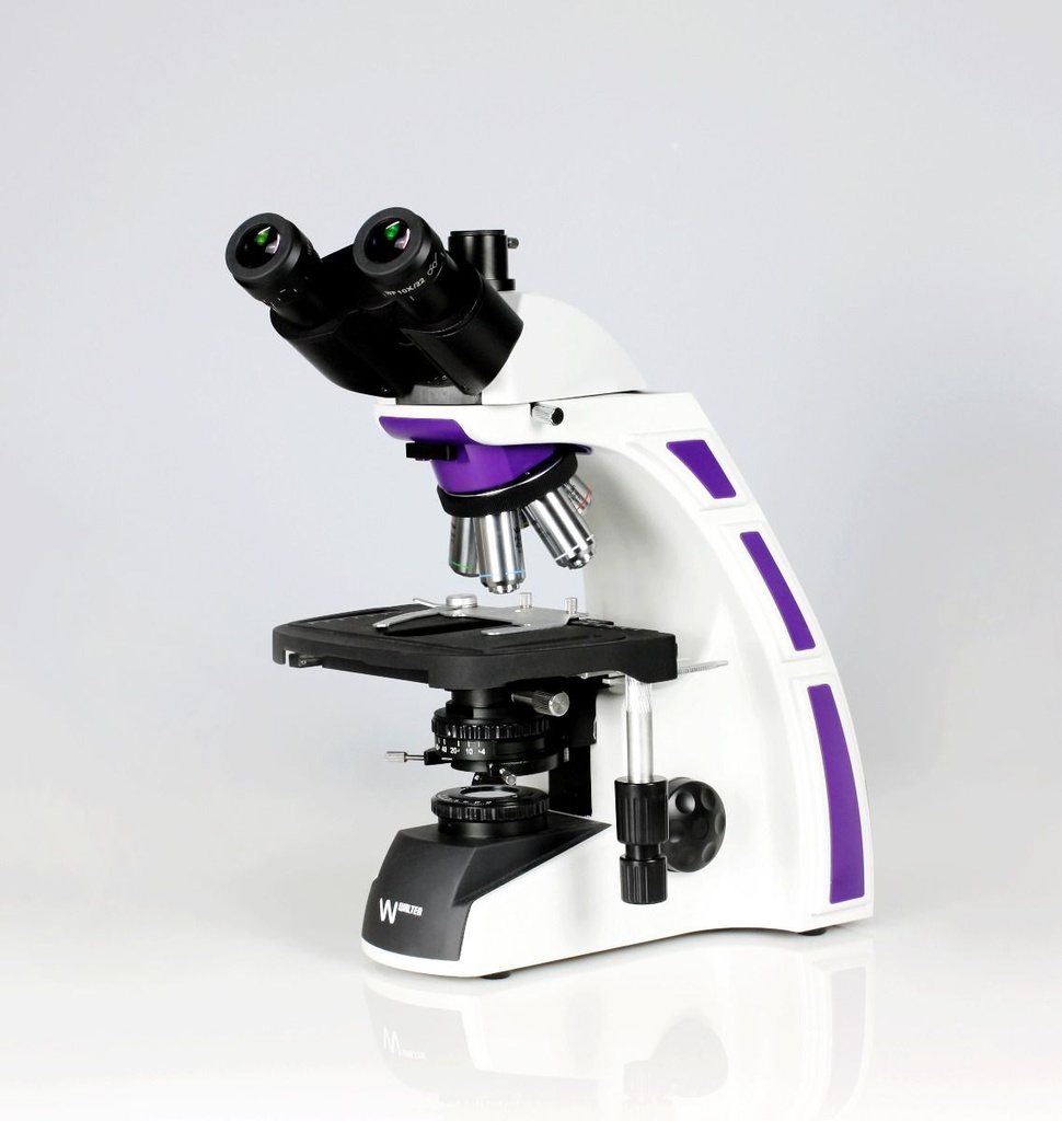 Trinocular Microscope