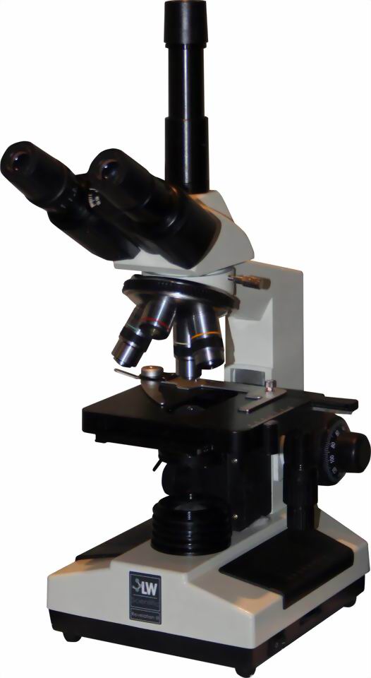 Trinocular Microscope