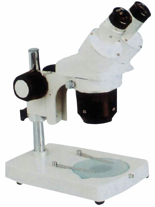 Stereo Microscope