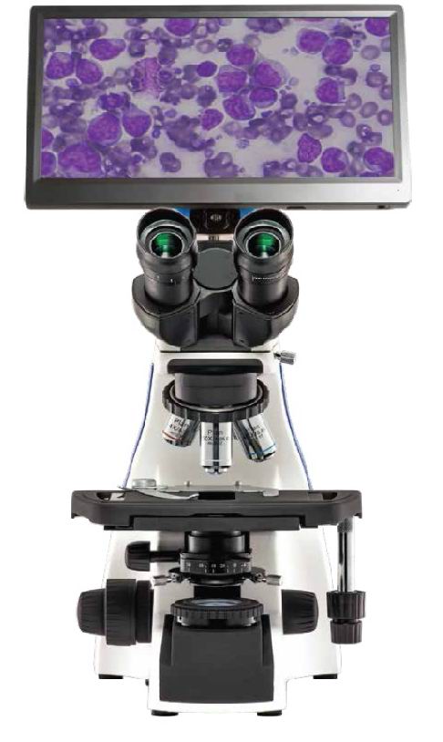 Camera and Monitor for Microscope