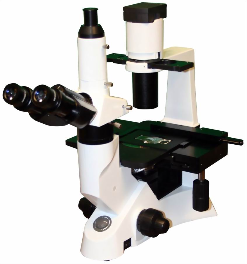 Inverted Phase-Contrast Microscope