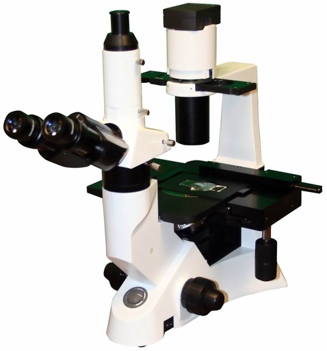 [N535] Inverted Phase-Contrast Microscope